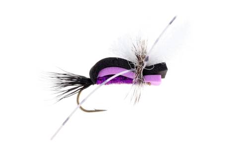 Hippie Stomper Purple 6 Pack CLOSEOUT